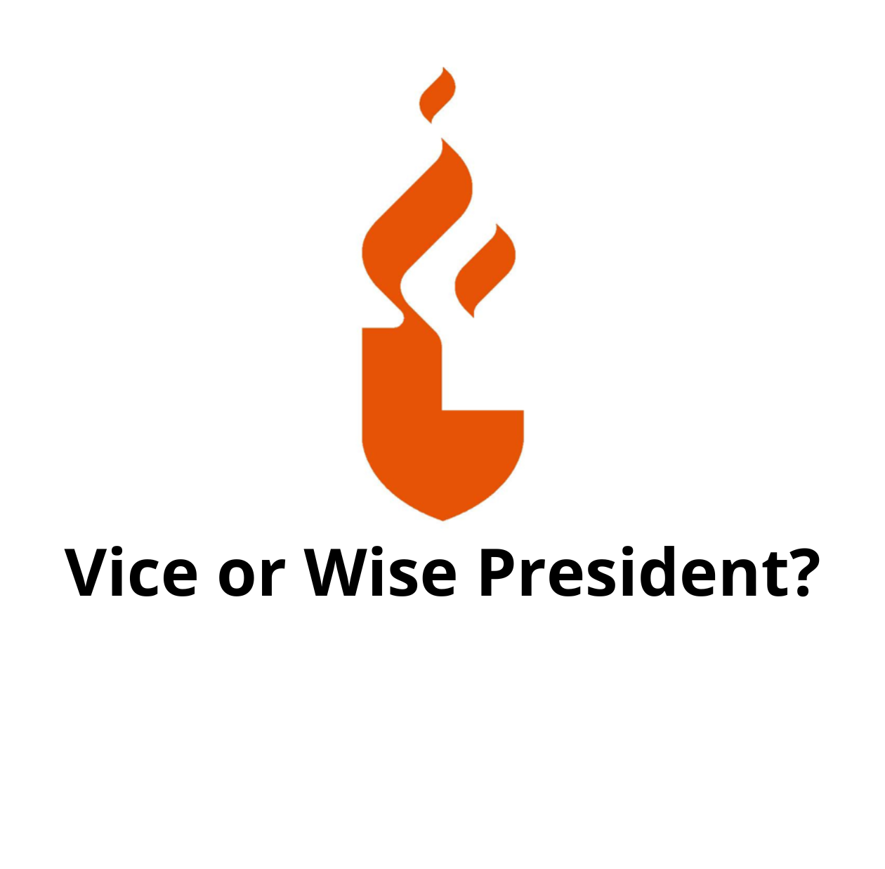 Vice or Wise President?