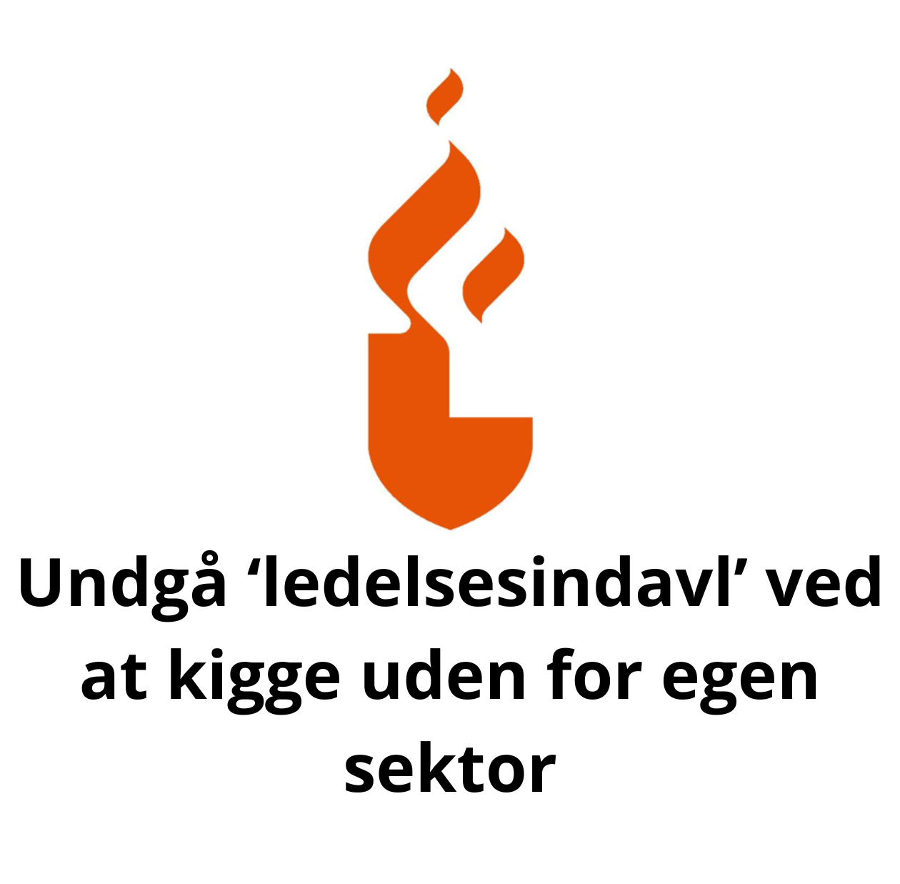 Undgå ‘ledelsesindavl’ ved at kigge uden for egen sektor